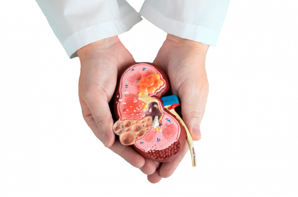 c7voklub6hjf4c79eyog6jx9b7sxv3xq